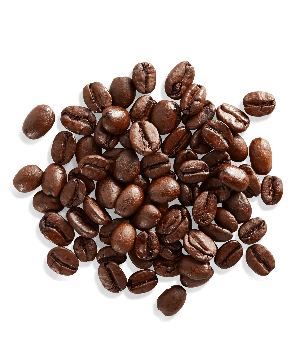 Arabian Mocha Sanani