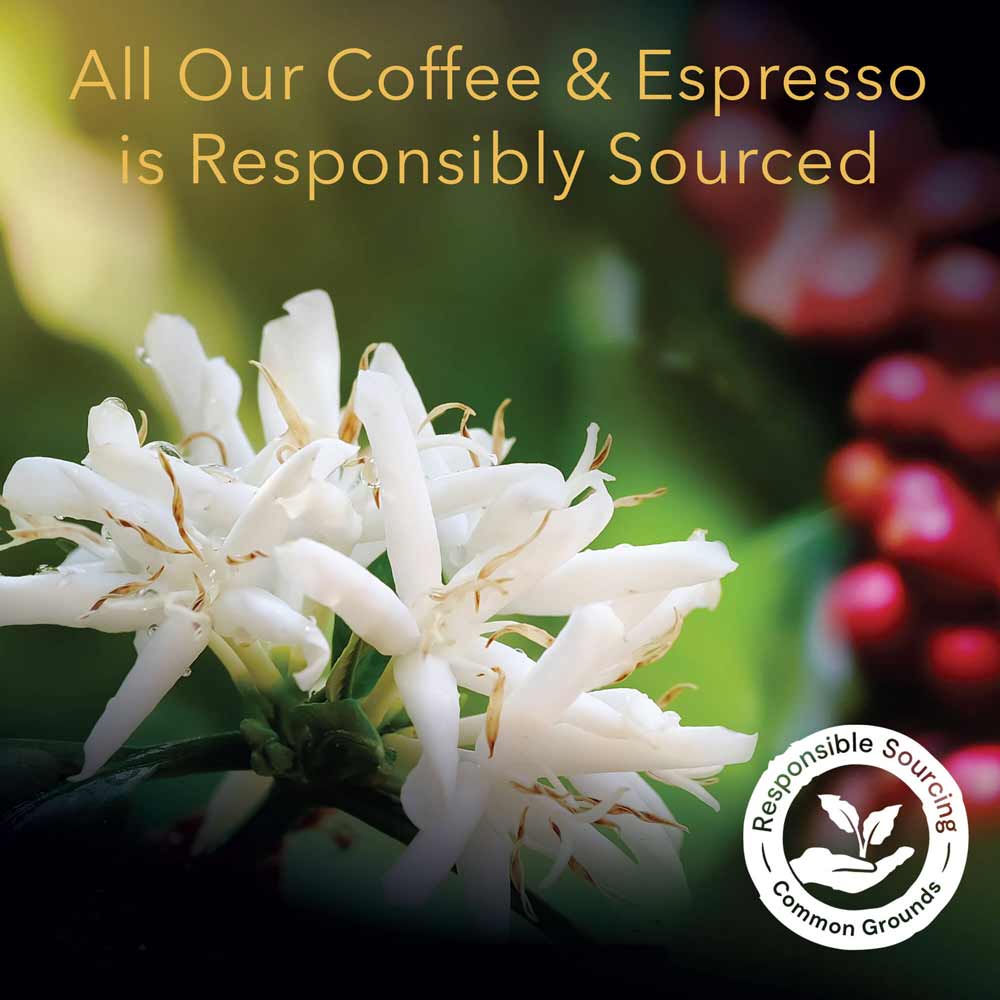 L'OR Estremo Lungo Espresso Capsules