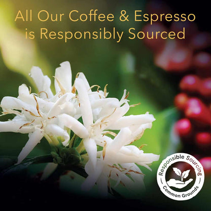 L'OR Coffee Capsules Sampler